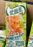 伊利【优酸乳新口味】现货伊利双柚果粒200g*12盒饮品饮料牛奶柚子 喝到8月份【双柚果粒】-200g*12盒 实拍图