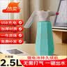 绿园匠2.5L电动喷水壶消毒清洁浇花洗车泡沫家用自动浇花神器高压喷雾器 实拍图