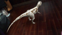科学跑出来 恐龙争霸赛来了 超好玩的3D实境互动恐龙小百科 实拍图