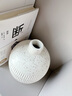 京东鲜花简约复古陶瓷花瓶摆件客厅插花中古风轻奢高级感冬青花器水培器皿 实拍图