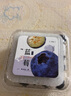 鲜级佳辽宁丹东蓝莓王【多地次日达】新鲜孕妇L25花香蓝莓礼盒怡颗蓝莓 2盒【125g/盒】尝鲜装-划算款 人工挑选 精品大果【单果18mm+】 实拍图