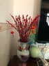 【红色招财银柳】干花真花鲜枝耐寒年宵花水培花卉室内摆放装饰花 60厘米【30支】送灯笼 实拍图