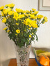 【七彩小雏菊】鲜切花混搭混色多头鲜花插瓶水养花期长七夕礼物 黄色小雏菊50CM5枝 实拍图
