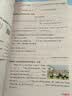 阳光同学 2026春新 提优训练 四年级下册英语人教PEP版 课时优化作业本 小学同步教材练习册一课一练课课练 开学季 实拍图