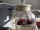奥特优养生壶煮茶壶煮茶器办公室全玻璃花茶多功能养生壶烧水壶电热水壶炖煮壶一体迷你智能全玻璃恒温壶 1.5L 花茶养生壶【不带茶漏】 实拍图
