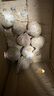 志褚独头蒜大蒜头 2024云南大理紫皮独蒜 精品新鲜现挖湿蒜 2斤装【中果2.5-3.0cm】 实拍图