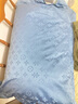 北极绒枕头一对家用枕芯套装深度睡眠颈椎枕五星级酒店枕头双人睡眠枕头 【枕套+枕芯】防水枕套蓝+麦穗白 【1只装】48x74cm 实拍图