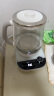 小熊（Bear）养生壶 1.8L大容量煮茶壶煮茶器 恒温保温一体烧水壶电水壶 玻璃面板 YSH-E18D8 大口径滤网 实拍图