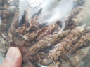 墨源夏枯球中药材白毛夏枯草茶新鲜夏古苦谷骨姑菇草非野生批发泡水喝 夏枯球500克【新货】 实拍图
