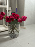 【玫瑰花】特价云南鲜花直发节日鲜花礼物花束水养插花七夕礼物 弗洛伊德10枝 实拍图