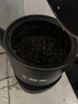 美的（Midea）煎药壶 家用大容量中药锅煎药壶全自动 煎药熬药电砂锅电药锅煎熬中药锅罐二煎煮药膳煲陶瓷养生壶 【4.5L大容量 分体式】JYC4556 4.5L 实拍图