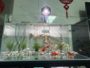 松宝（sobo）鱼缸增氧泵氧气泵养鱼打氧机增氧机 家用小型鱼缸氧气机6W双孔 晒单实拍图