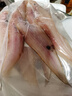 皮小鲜龙利鱼 舌头鱼去头去皮去脏 儿童宝宝辅食新鲜冷冻 250g/袋深海鱼 【深海捕捞】500g 实拍图