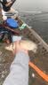 天元全水域纳米浮漂鲢鳙漂综合漂大物漂浅水漂高灵敏行程鱼漂 实拍图