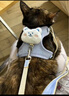 宠小曼猫咪牵引绳可调节遛猫绳子可爱幼猫外出专用胸背小型犬宠物用品s 实拍图