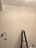 皇家罗兰 墙布洒金环保无缝 包施工 客厅卧室全屋壁布 沙发背景墙壁纸墙纸 (免费安装)HJ148-200-10优雅日光 实拍图