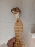 欢宠网猫玩具猫咪逗猫棒猫薄荷磨牙棒自嗨解闷神器磨牙猫猫小猫幼猫宠物 晒单实拍图