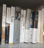 中国金融四十人论坛书系·渐行渐远的红利：寻找中国新平衡 实拍图