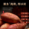 汴都铺子正宗纯红薯粉条3斤无添加剂火锅食材宽川粉丝酸辣粉马铃番薯地瓜 纯红薯粉条500g*1斤（活动） 实拍图