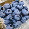 兄盟鲜果云南蓝莓当季限量钻石款蓝梅新鲜水果 当季限量6盒750g18mm+ 实拍图