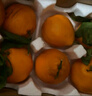 京觅四川春见耙耙柑粑粑柑新鲜水果8斤单果200g+源头直发包邮  实拍图