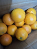 广西武鸣沃柑2025橘子新鲜水果当季一级沙糖蜜橘砂糖柑橘大果 中果(单果径60-65mm) 净重3斤 实拍图
