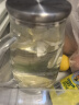 小熊（Bear）家用凉水壶 高硼硅玻璃杯1.5L 大容量冰箱冷水壶杯子啤酒杯 实拍图