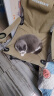 玫斯（metz）猫粮无谷天然猫粮成猫幼猫全阶段鲜肉孕猫全价奶糕猫粮 肠道护理5KG（2月及以上） 实拍图