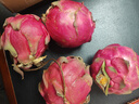 红心火龙果金都一号当季新鲜应季水果整箱火龙果3/5大果海南特产 小果200g左右 2斤 实拍图