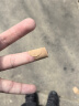 迪卡侬自行车EXPL120青少年山地车6速20寸学生通勤单车自行车-4810987 晒单实拍图