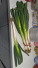 山东章丘大葱新鲜10斤蘸酱卷饼铁杆大葱5斤脆葱非圆洋东北红葱头 含箱5斤 【12H现挖】去皮 实拍图