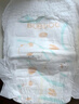 巴布豆（BOBDOG）新菠萝拉拉裤夏季超薄透气尿不湿夏天薄款婴儿尿裤学步裤超薄芯体 【尝鲜装免费用】拉拉裤XL码4片 实拍图