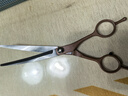 谷崎 宠物美容剪刀 狗狗毛工具套装7英寸分体剪专业修毛剪弯剪子泰迪猫狗通用理发神器宠物剪 #金色 7英寸翘剪 实拍图