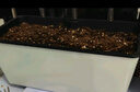 水生田懒人自吸水花盆家用蔬菜种植神器长方形塑料大花盆家庭阳台种菜箱 【水滴大款】吸水懒人盆2个 实拍图