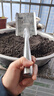 九千谷园艺工具不锈钢小方铲户外种植蔬菜种花除草铲土种菜挖土花铲4450 实拍图