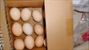 柴小旦农家散养五谷喂养新鲜土鸡蛋单枚 10枚装 实拍图