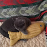 猫自嗨玩具猫薄荷布偶仿真鱼幼猫磨牙猫咪逗猫棒宠物猫用品 逗猫麻布鱼【黄色】 实拍图