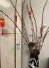 美学黑客 玉兰干枝干花花束干支干树枝树装饰玉兰花卧室客厅落地天然 浅红色单支 实拍图