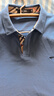 七匹狼长袖T恤男士秋季POLO上衣翻领打底衫5A抗菌体恤衫衣服男装服饰 实拍图