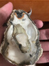 鲜海道【活鲜】鲜海道生蚝  乳山牡蛎 新鲜海蛎子生鲜贝类 精品3XL号带箱10斤 实拍图