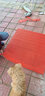 慷曦 塑料地垫门垫进门防滑垫子PVC浴室厨房厕所卫生间玄关家居游泳馆加镂空防水网格入户脚垫子 90宽/1米长普厚3.5mm厚 红色 实拍图