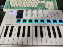 ARTURIA MINILAB3 MK3 便携MIDI键盘25键迷笛控制器打击垫音乐作编曲制作 25键白色赠正版资源+教程 官方授权 赠正版音色库 实拍图