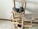 CHONLDERL猫爬架猫窝猫树一体大型太空舱猫架子四季通用剑麻猫咪玩具用品 【156CM 10层双太空舱】全剑麻星喵XM-2 实拍图