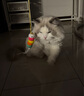 加仕高猫玩具自嗨逗猫棒荡秋千蝴蝶幼猫小猫咪羽毛 3件套 实拍图