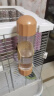 宠尚天鸟用饮水器喝水器鹦鹉撞针水壶虎皮玄凤喂水器用品200ml 实拍图