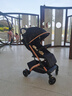 cam IL MONDO DEL BAMBINO意大利进口婴儿推车一键收车婴儿0-4岁可坐可躺带减震可手拉折叠 Compass 2.0 col194 雅黑金 实拍图