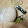 马丁兄弟儿童考古挖掘恐龙玩具夜光恐龙化石恐龙蛋手工玩具男女孩儿童礼物 实拍图