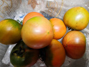 京鲜生 丹东草莓西红柿1斤装 新鲜蔬菜 实拍图