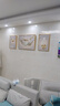 诗六艺家饰客厅装饰画北欧现代简约沙发背景墙挂画三联画大气轻奢壁画晶瓷画 羽鹿生辉（铝合金外框） 晶瓷画左右35*50+中间70*50亮面 实拍图