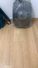迪普尔 猫包外出便携包猫背包宠物猫箱双肩包书包太空舱狗包猫咪航空箱 黑色 【建议13斤内猫咪/10斤内狗狗】 实拍图